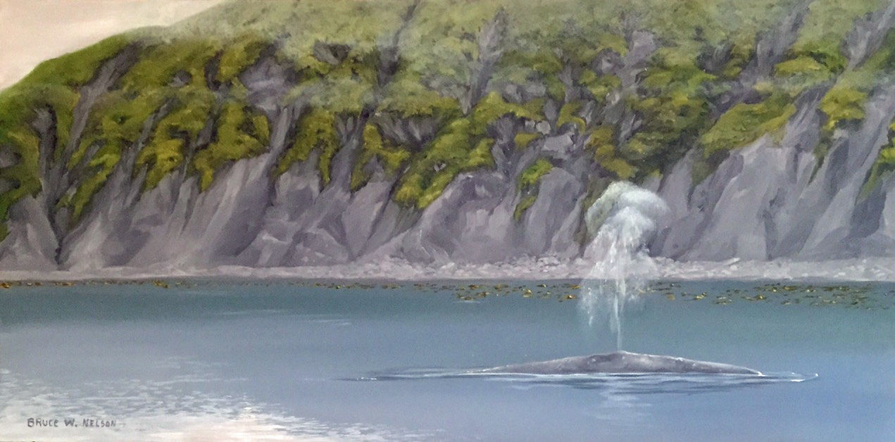 Whale